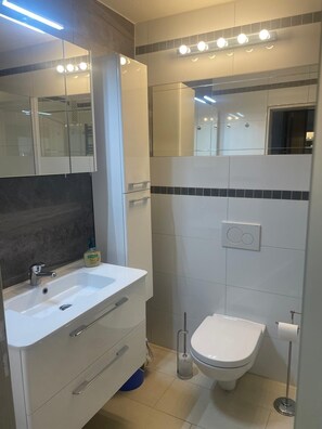 Shower, hair dryer, toilet paper