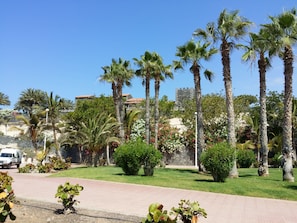 Terrein van de accommodatie