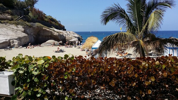 A beach with people sunbathing, palm trees, and a clear blue sky. - Apartment Benimar with heated pool, large terrace, dishwasher, wifi, SAT-TV (Costa Adeje)
