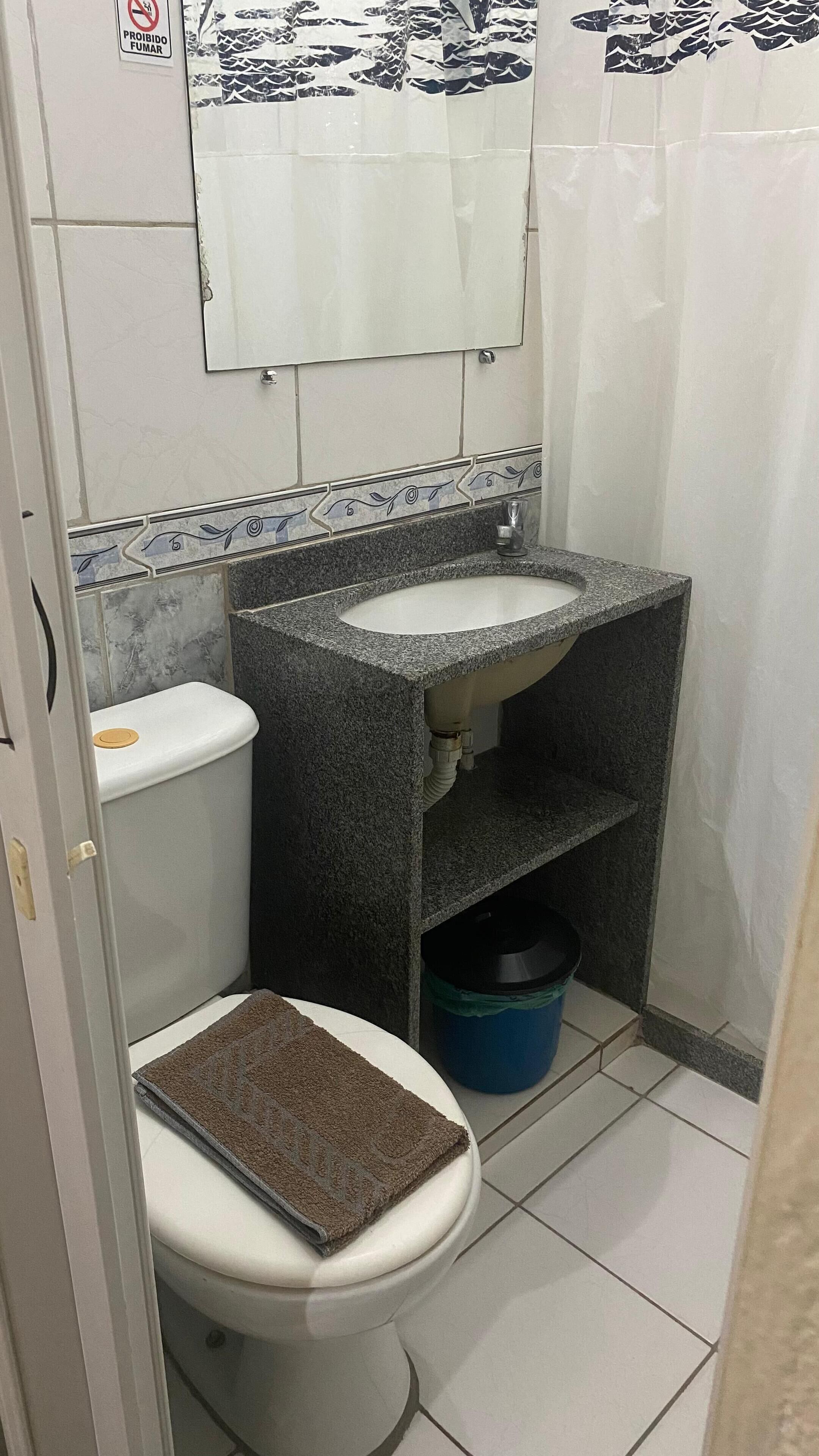 A bathroom with a toilet, sink, and shower curtain.