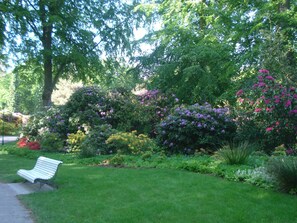Terrein van de accommodatie