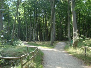 Unclassified image, 5 of 13, button - Vacation property Graal Müritz A13 - F13 (Graal-Müritz)