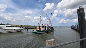 A fishing boat docked at a pier with a clear sky and calm water.