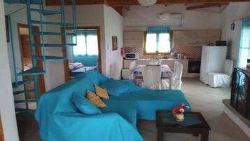 TV, fireplace, books