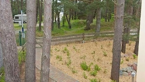 Un área boscosa con un sendero pavimentado y un edificio pequeño.