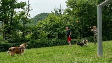 Enceinte de l’hébergement