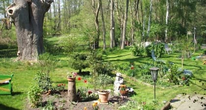 Ferienwohnung 1 - Ferienwohnung Am Mühlbach