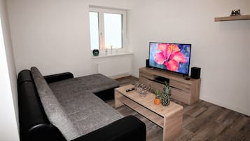 Télévision, lecteur de DVD, chaßne hi-fi