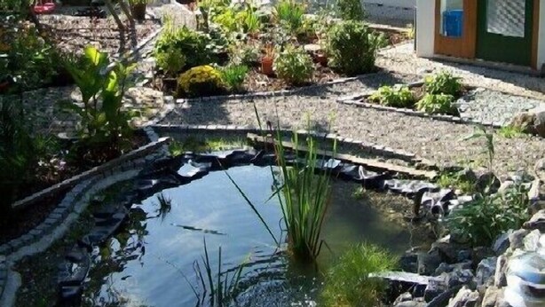 Un jardín con un estanque, un invernadero y un edificio con puerta de madera.