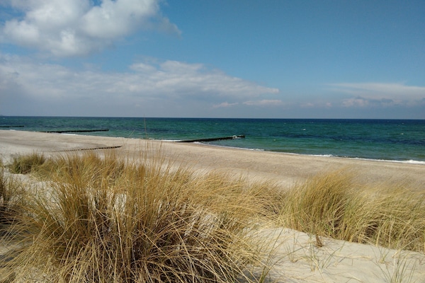Playa en los alrededores