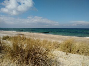 Una spiaggia con dune sabbiose e una struttura in legno nell'acqua.