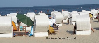 Lejlighed - Lejlighed Steffen