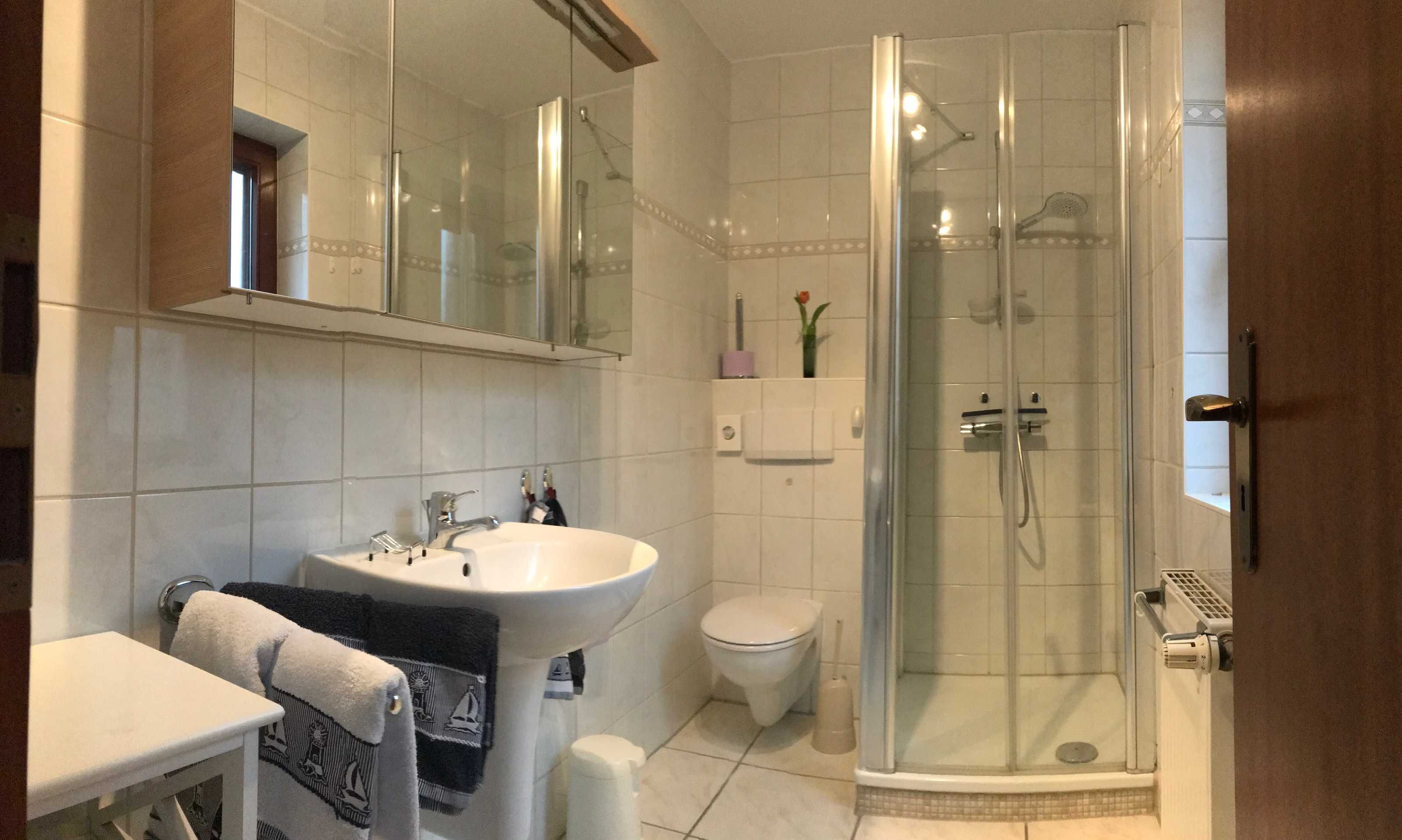 Dusche, Haartrockner, Handtücher