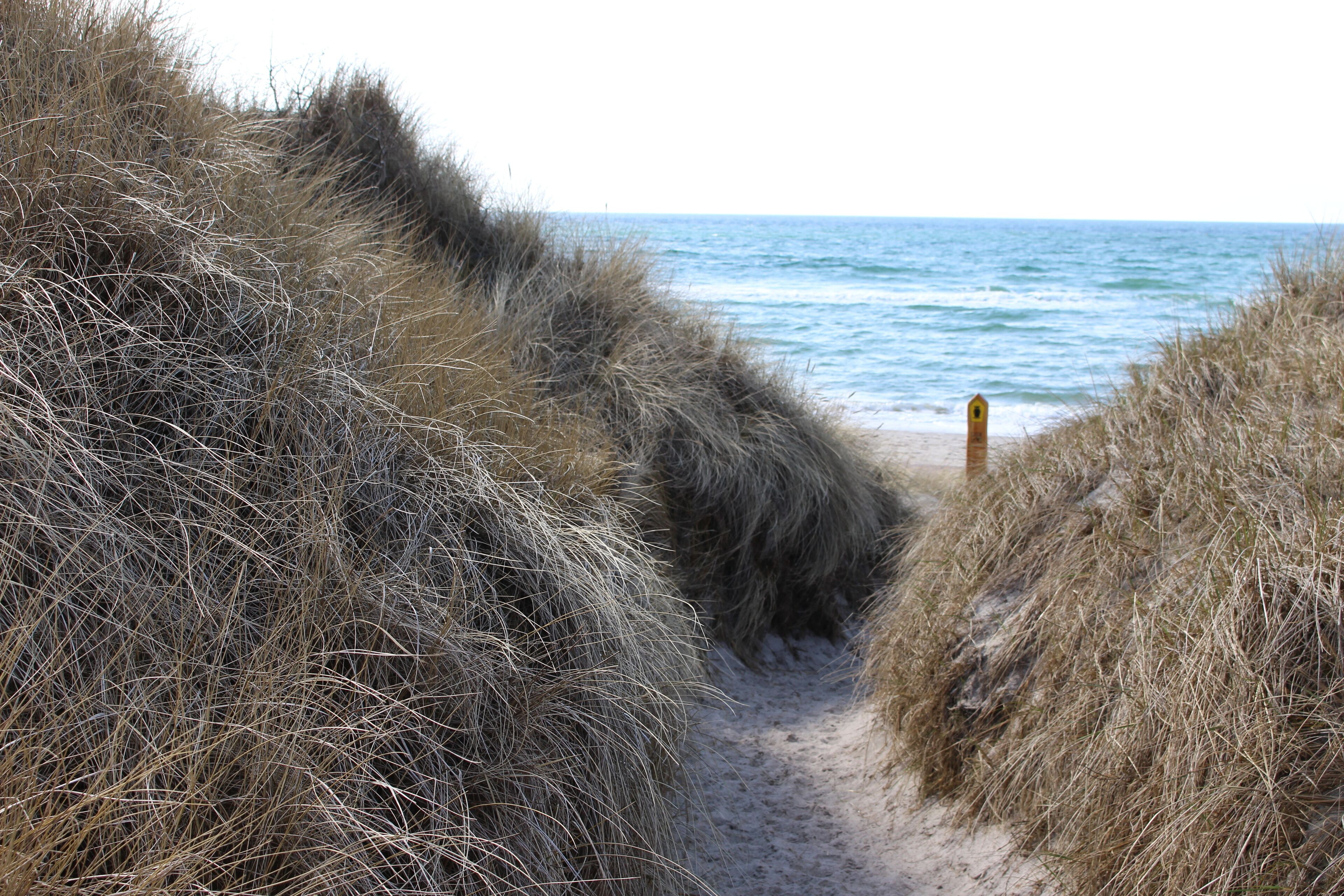 Strand