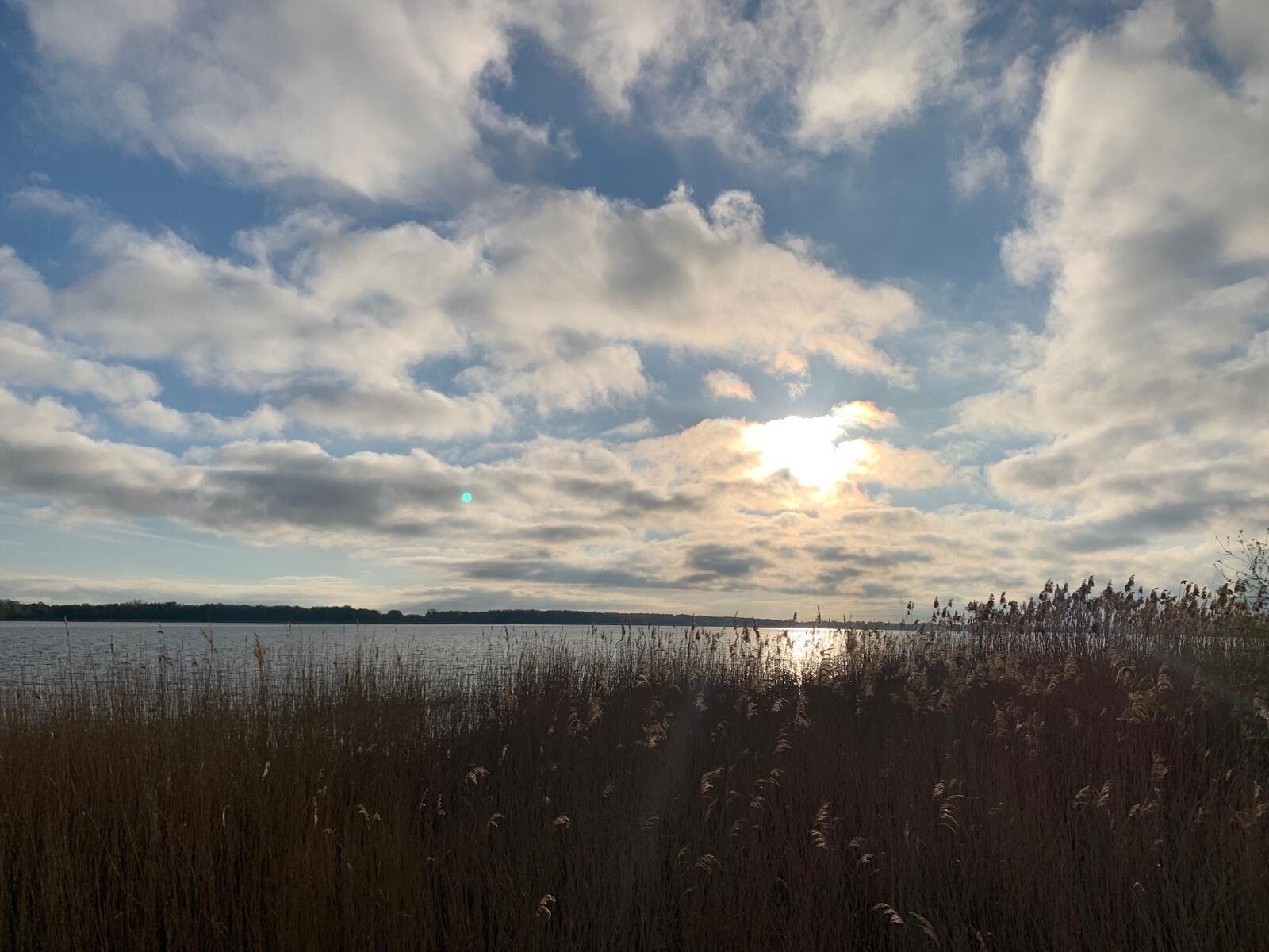 A natural landscape with a body of water, reeds, and a cloudy sky.