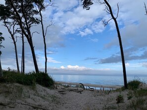 A beach with sand dunes, sparse vegetation, and tall trees. - *Kleiner Seeigel* 5 star FEWO with charm - central & close to the Baltic Sea, balcony, WLAN (Ribnitz-Damgarten)