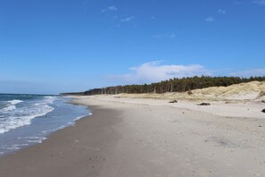 Beach - *Kleiner Seeigel* 5 star FEWO with charm - central & close to the Baltic Sea, balcony, WLAN (Ribnitz-Damgarten)