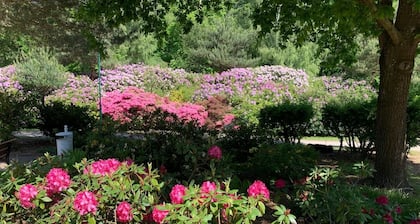 *Kleiner Seeigel* 5 Sterne FEWO mit Charme - zentral & ostseenah, Balkon, WLAN