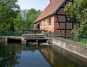 Immagine non classificata, 2 di 6, pulsante