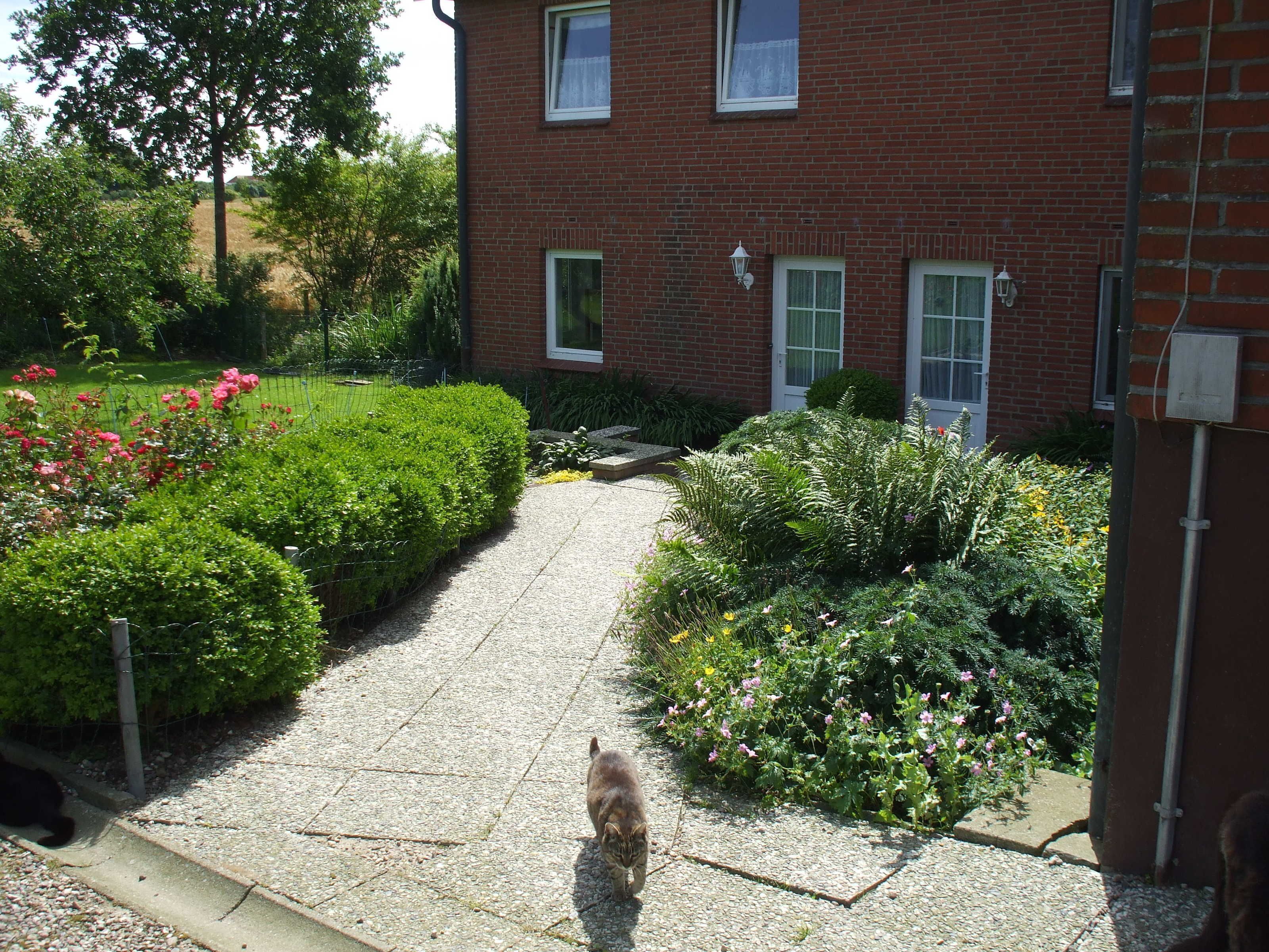 Terrain de l’hébergement 