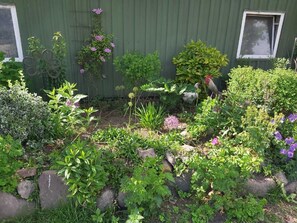 Luokittelematon kuva, 5 kautta 51, painike