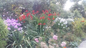 Luokittelematon kuva, 3 kautta 51, painike