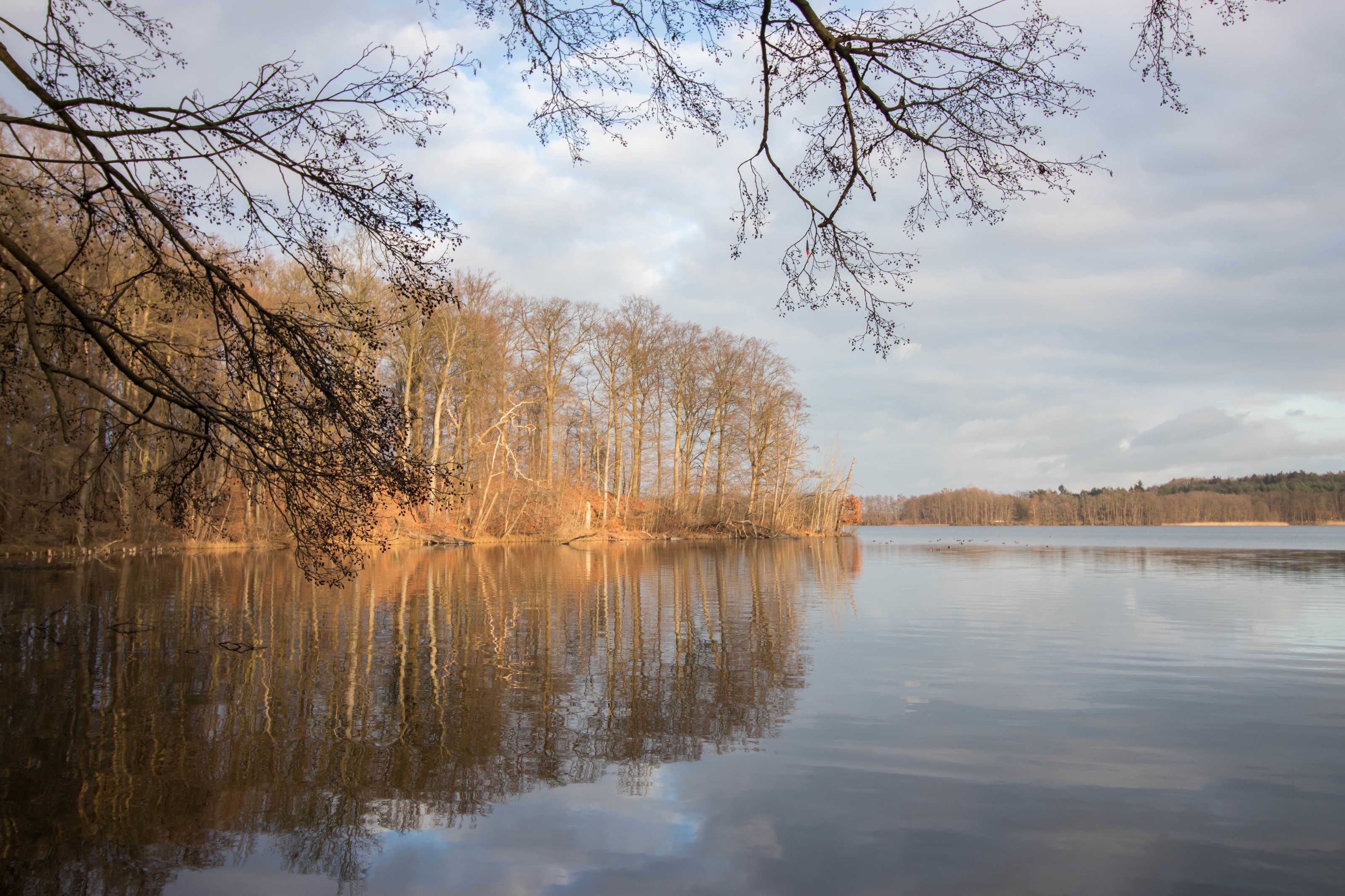 Un lac paisible, dont les arbres se reflètent dans l’eau, entouré d’une forêt.