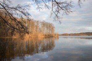 Un lago tranquillo con alberi che si riflettono nell'acqua, circondato da una foresta.