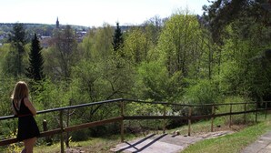 Eine Frau geht auf einem hölzernen Weg mit Metallgeländer entlang, umgeben von Grünpflanzen und einem Gebäude in der Ferne.