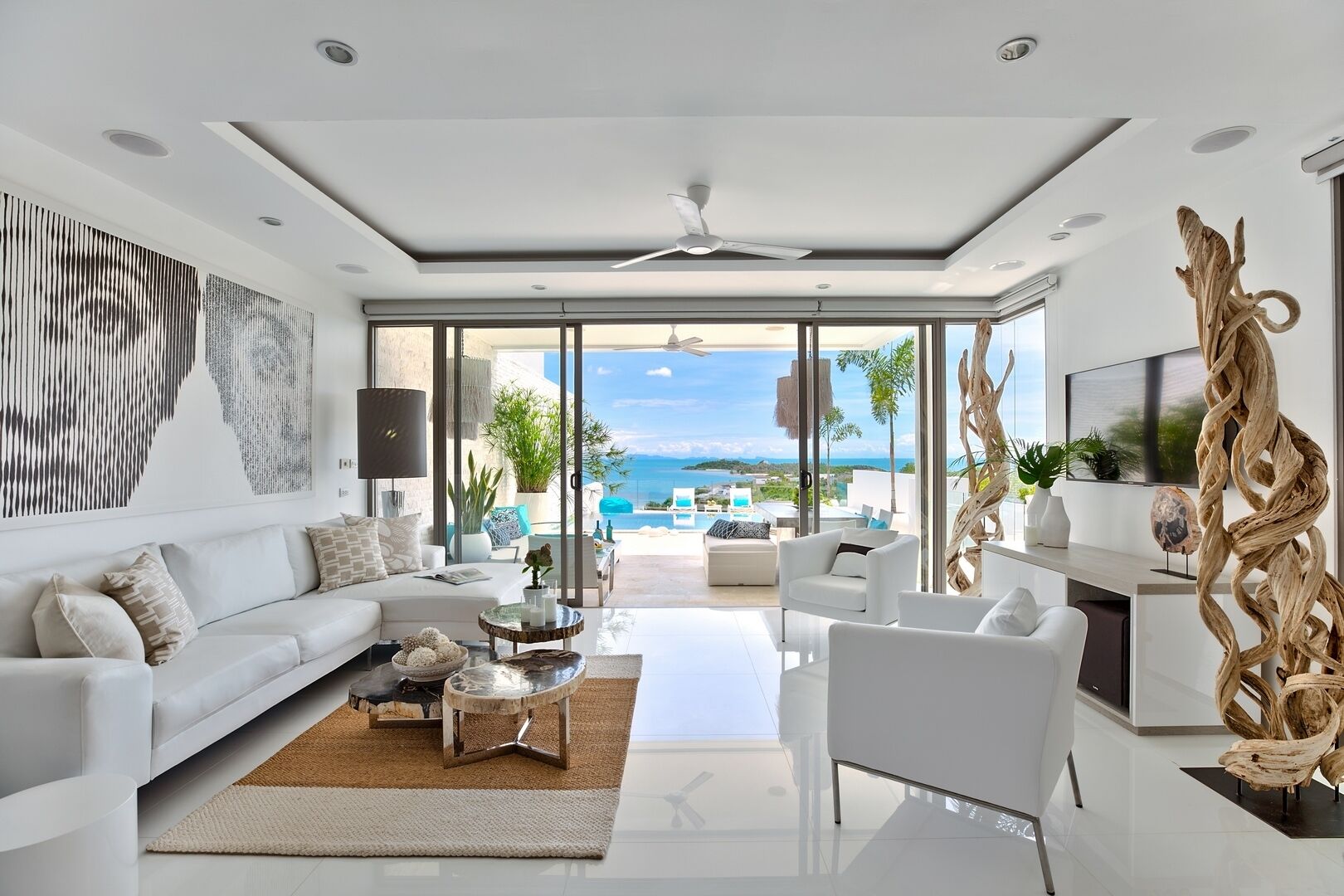 Smart TV, DVD player, video library, stereo