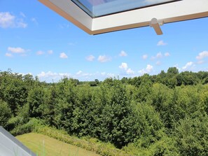 الإطلالة من المنشأة