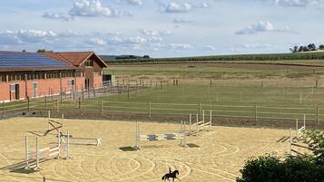 Sportveld