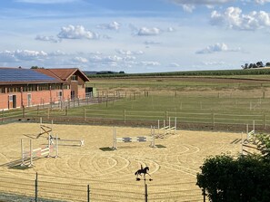Sports court