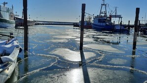 Una marina ghiacciata con barche ormeggiate, schemi di ghiaccio sull'acqua e cielo sereno.