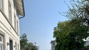 Una strada acciottolata fiancheggiata da alberi e un edificio con un balcone.