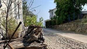 Una strada acciottolata con una grande ancora arrugginita e un tronco di legno a terra.