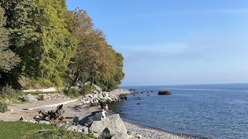 Una spiaggia nelle vicinanze, lettini da mare