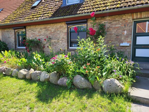 Unclassified image, 1 of 11, button