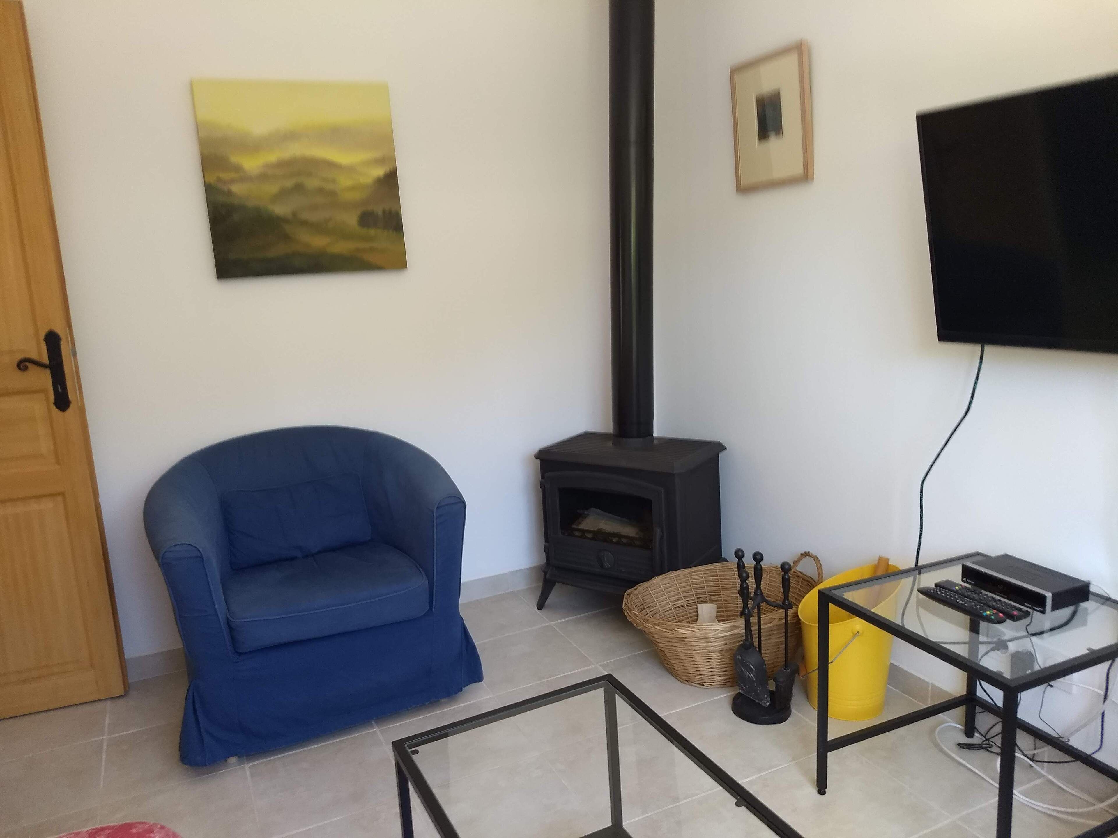 A living room with a blue sofa, a fireplace, a television, and a painting on the wall.