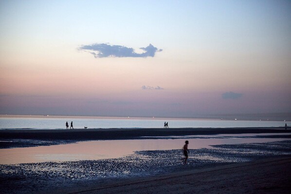 Escena de playa con gente caminando y un perro.