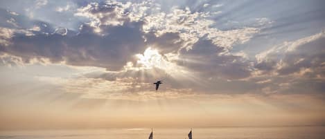 A beach scene with a sunset, a bird flying, and people on the shore.