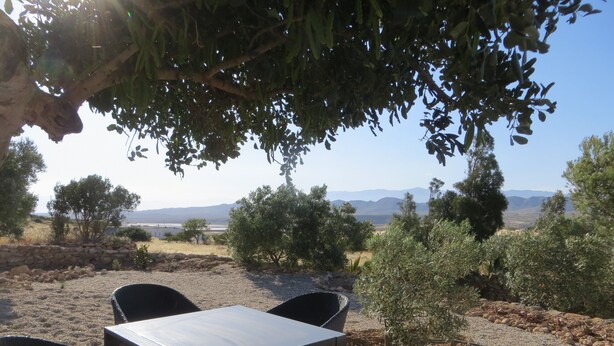 An outdoor seating area with a table and chairs, surrounded by olive trees and a view of distant mountains.