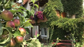 Un jardín con manzanos, una cerca de madera y un banco rojo.