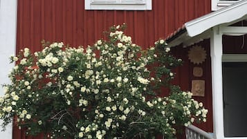 Detalle del exterior