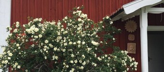 Vakantie in Småland in een typisch Zweeds huis met<br>Geschichte🇸🇪