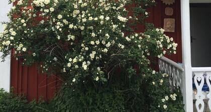 Vacation in Småland in a typical Swedish house with<br>Geschichte🇸🇪