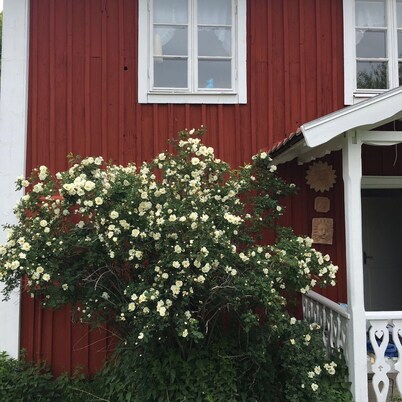 Vacation in Småland in a typical Swedish house with<br>Geschichte🇸🇪