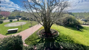Un grand arbre dans un parc, avec un chemin circulaire pavé de briques et un banc.