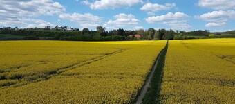 Vacation apartment 60 sqm - Holiday apartments on Lake Malchin