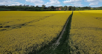 Vacation apartment 60 sqm - Holiday apartments on Lake Malchin